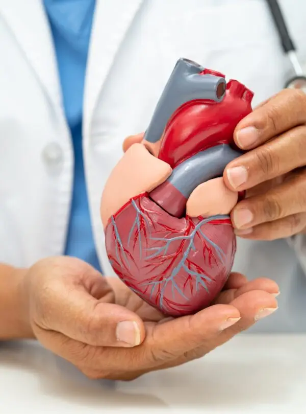 Expert cardiology care through MediTour Facilitators, your trusted medical travel coordinators